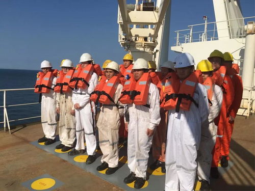 陽海國際船舶公司誠聘招生代理，共拓國際船舶管理業務新篇章