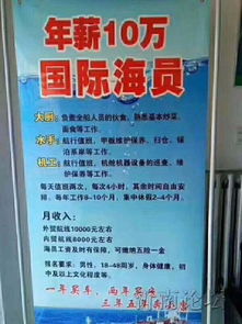 青島州海國際船舶管理 深耕國際船舶管理業務，賦能全球航運